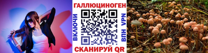 Псилоцибиновые грибы Magic Shrooms  купить наркотики цена  гидра как войти  Инсар 